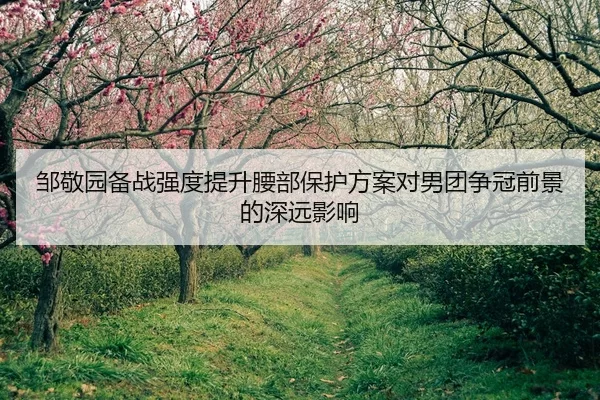 邹敬园备战强度提升腰部保护方案对男团争冠前景的深远影响