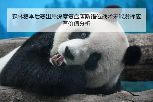 森林狼季后赛出局深度复盘唐斯错位战术未能发挥应有价值分析