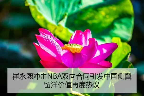 崔永熙冲击NBA双向合同引发中国侧翼留洋价值再度热议