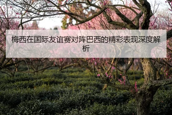 梅西在国际友谊赛对阵巴西的精彩表现深度解析