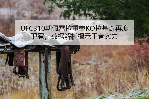 UFC310期佩雷拉重拳KO拉基奇再度卫冕，数据解析揭示王者实力