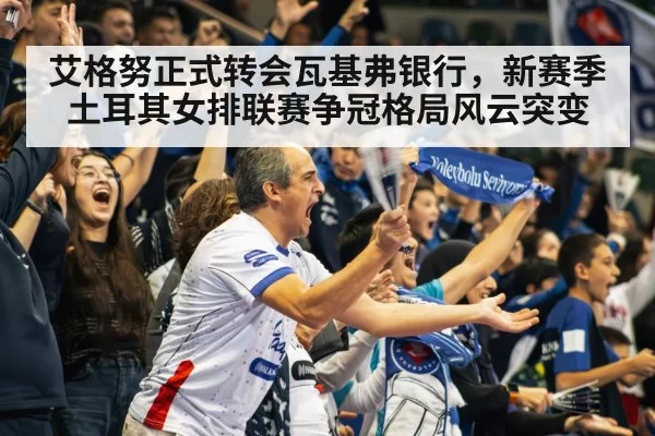 volleyball stadium crowd