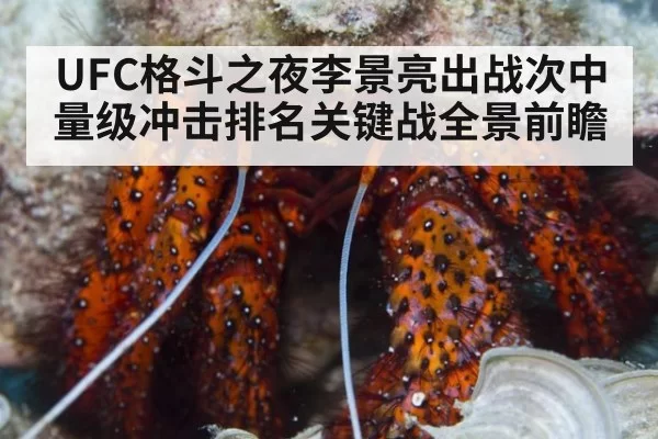 UFC格斗之夜李景亮出战次中量级冲击排名关键战全景前瞻