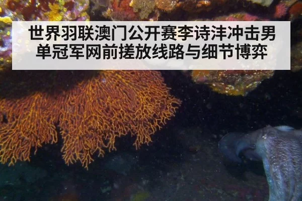 世界羽联澳门公开赛李诗沣冲击男单冠军网前搓放线路与细节博弈